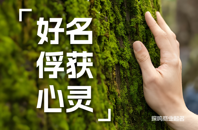 國(guó)際家具品牌的命名啟發(fā).jpg